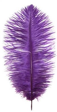 Ostrich Drabs 9-13" Dyed Purple - Per 1/2 lb
