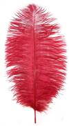 Ostrich Drabs 9-13" Dyed Red - Per 1/2 lb