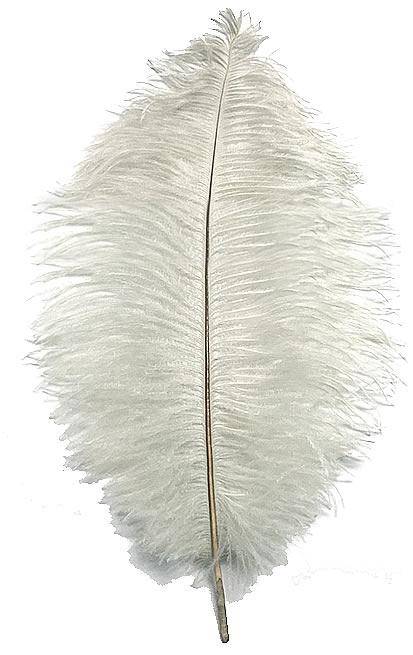 Ostrich Drabs 11-13" Dyed Silver Per 1/2 lb