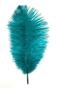 Ostrich Drabs 9-13" Dyed Teal - Per 1/2 lb