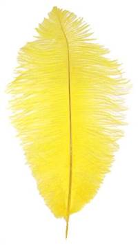 Ostrich Drabs 9-13" Dyed Yellow - Per 1/2 lb