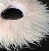 Ostrich Feather Fringe 4-5" Light Pink - 2 Yards