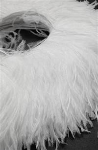 Ostrich Feather Fringe 5-6" Snow White - 2 Yards