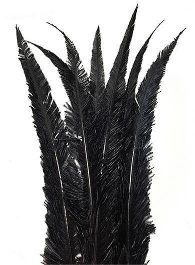 Ostrich Nandu 20-26" Dyed Black - Per 1/2 lb