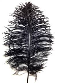 Ostrich Tail Feathers 14-17" Dyed Black - Per 1/2 lb