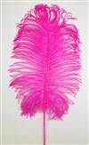 Ostrich Tail Feathers 14-17" Dyed Fuchsia - Per 1/2 lb