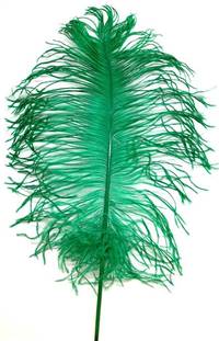 Ostrich Tail Feathers 14-17" Dyed Green - Per 1/2 lb