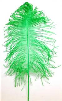 Ostrich Tail Feathers 14-17" Dyed Lime Green - Per 1/2 lb