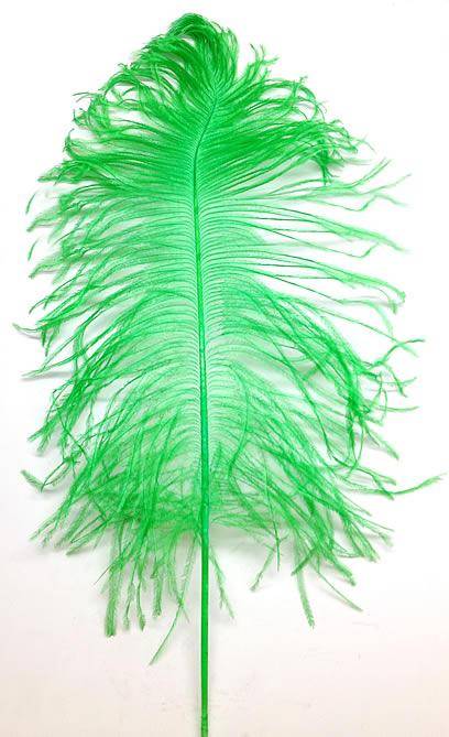 Ostrich Tail Feathers 14-17" Dyed Lime Green - Per 1/2 lb