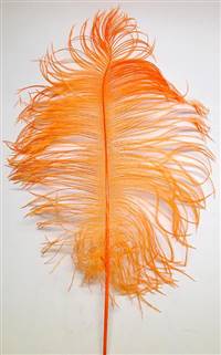 Ostrich Tail Feathers 14-17" Dyed Orange - Per 1/2 lb
