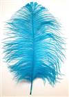 Ostrich Tail Feathers 14-17" Dyed Turquoise - Per 1/2 lb