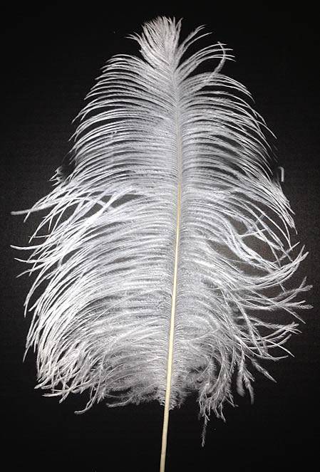 Ostrich Tail Feathers 14-17" Bleached White - Per 1/2 lb