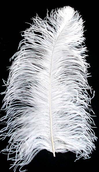 Ostrich Wing Plumes #1 - 16-18" Bleached White - Per 1/4 lb