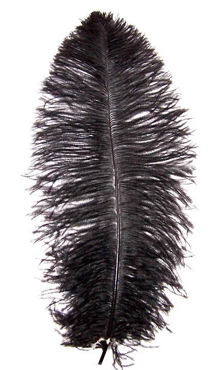 Ostrich Wing Plumes #1 - 18-24" Dyed Black - Per 1/4 lb