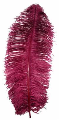 Ostrich Wing Plumes #1 - 18-24" Dyed Burgundy - Per 1/4 lb