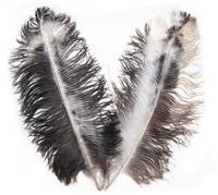 Chinchilla Ostrich Wing Feathers (Byocks) 20-24" - Per 1/4 lb