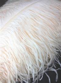 Ostrich Wing Plumes #1 - 18-24" Dyed Cream - Per 1/4 lb