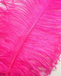 Ostrich Wing Plumes #1 - 18-24" Dyed Fuchsia - Per 1/4 lb