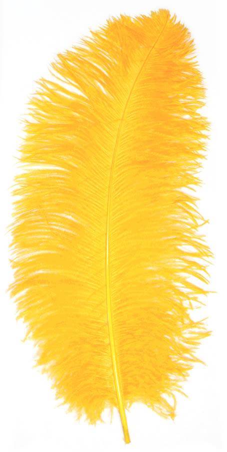 Ostrich Wing Plumes #1 - 18-24" Dyed Gold - Per 1/4 lb