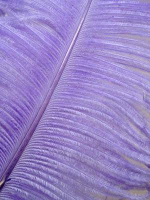 Ostrich Wing Plumes #1 - 18-24" Dyed Lavender - Per 1/4 lb