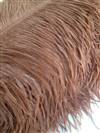 Ostrich Wing Plumes #1 - 18-24" Dyed Light Brown - Per 1/4 lb