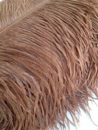 Ostrich Wing Plumes #1 - 18-24" Dyed Light Brown - Per 1/4 lb