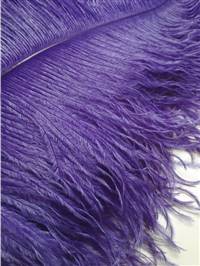 Ostrich Wing Plumes #1 - 17-22" Dyed Purple - Per 1/4 lb
