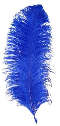 Ostrich Wing Plumes #1 - 17-22" Dyed Royal Blue - Per 1/4 lb