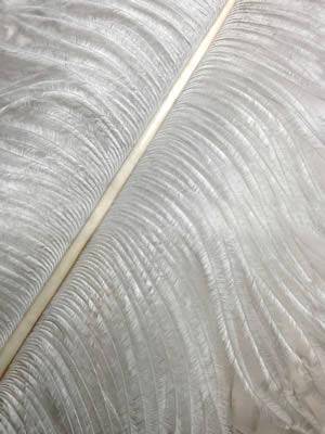 Ostrich Wing Plumes #1 - 18-24" Dyed Silver - Per 1/4 lb