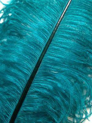 Ostrich Wing Plumes #1 - 20-24" Dyed Teal - Per 1/4 lb