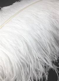 Ostrich Wing Plumes #1 - 18-21" Bleached White - Per 1/4 lb