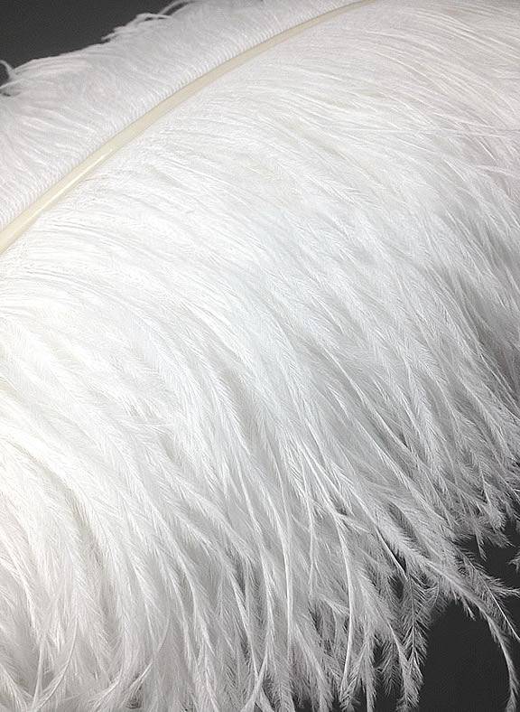 Ostrich Wing Plumes #1 - 18-21" Bleached White - Per 1/4 lb