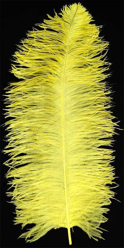 Ostrich Wing Plumes #1 - 18-24" Dyed Yellow - Per 1/4 lb