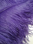 EXTRA LARGE, Ostrich Wing Plumes 25''-29'', Purple (1/2 Pound)