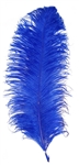 EXTRA LARGE, Ostrich Wing Plumes 25''-29'', Royal Blue (1/2 Pound)