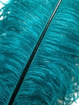 EXTRA LARGE, Ostrich Wing Plumes 25''-29'', Teal (1/2 Pound)