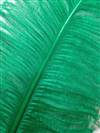 Ostrich Wing Plumes #2 - 25-29" Dyed Green  - Per 1/4 lb