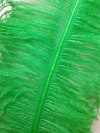 Ostrich Wing Plumes #2 - 25-29" Dyed Light Green  - Per 1/4 lb