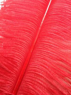 Ostrich Wing Plumes #2 - 25-29" Dyed Red - Per 1/4 lb (About 20 pcs)