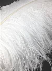 Ostrich Wing Plumes #1 - 28-32" Bleached White - Each