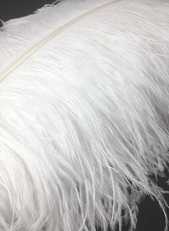 Ostrich Wing Plumes #1 - 28-32" Bleached White - Each