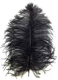 Ostrich Wing Tips 9-13" Dyed Black - Per 1/2 lb