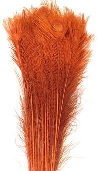 Eyed Peacock Sticks 35-40" Dyed Orange over Bleached - Per 100