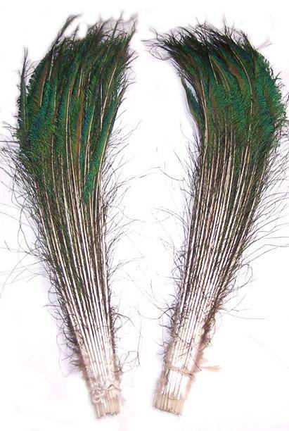 Peacock Swords 25-30"