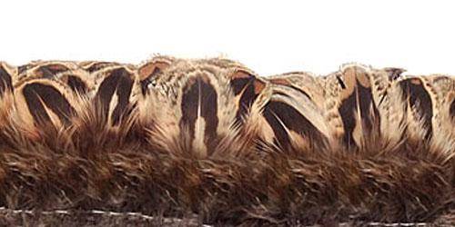 Ringneck Pheasant Hen Almonds, Strung 2-3" - Per 1/2 lb
