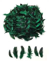 Ringneck Pheasant Hearts 1-2" Dyed Green, Loose Per 1/2 lb