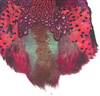 Ringneck Pheasant Pelt #1 Jumbo - Each