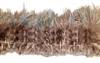 Ringneck Pheasant Strung Grey Rump Hackle - Per 1/2 lb