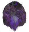 Ringneck Pheasant Pelt #1 Dyed Purple