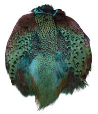 Ringneck Pheasant Pelt #1 Dyed Turquoise
